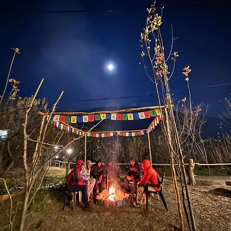 Hostel Basecamp Manali Zewnętrze zdjęcie