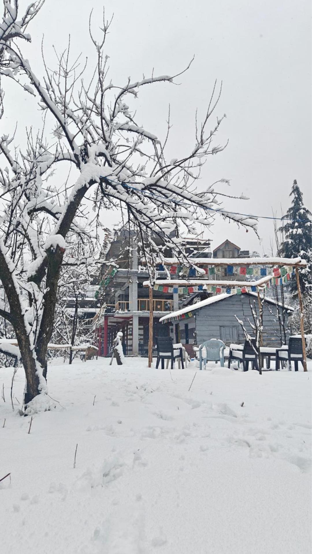 Hostel Basecamp Manali Zewnętrze zdjęcie